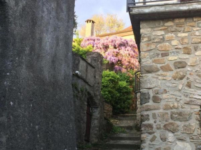 La casa del bosco